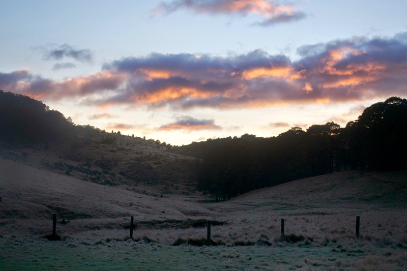 TanguyRacine-DSC_0166