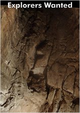 2011_bottom_happy_monday_long_thin_B