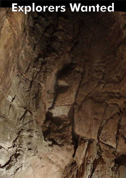 2011_bottom_happy_monday_long_thin_B