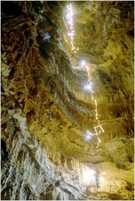 Clewin_on_Concorde_2004_Photo_by_Jarvist_Frost-mediumquality