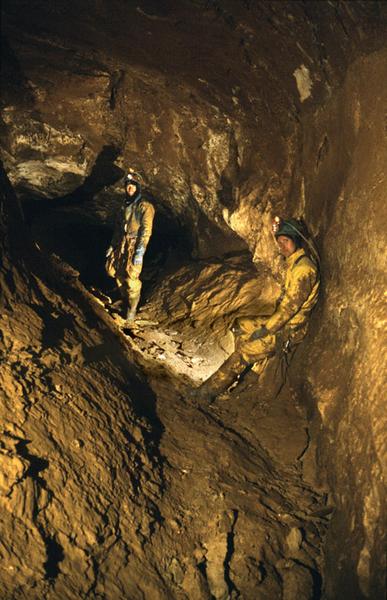 friendship_22_8 - Friendship gallery, -550m, Gardener's World (D Wilson)