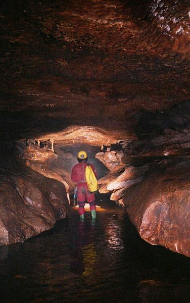 Photo17.dave_mainstream.janevetts