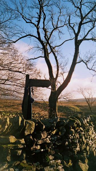 Photo34.sunday_signpostandfurry.janevetts