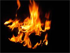 Sandeep_Mavadia_IMGP0053