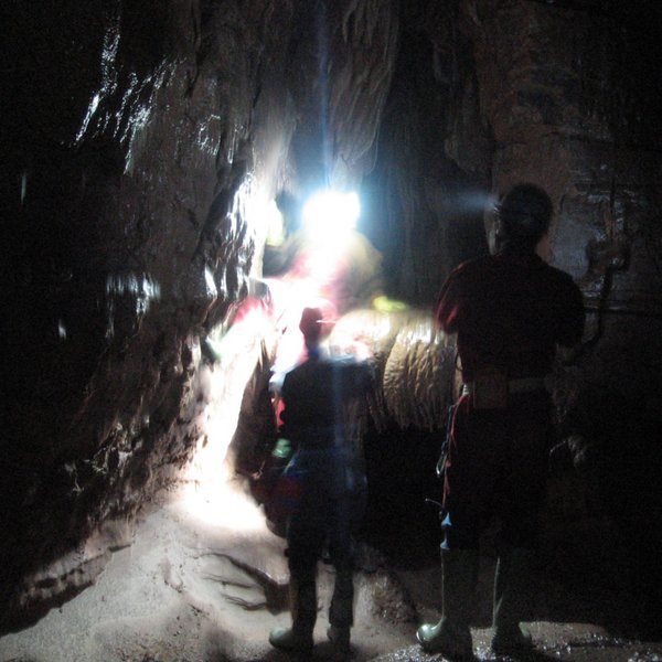 jarvist frost - ofd one - crystal chamber2