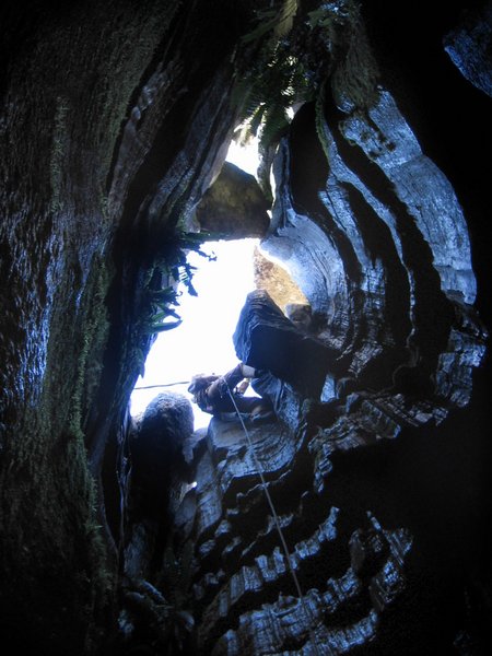 jarvist frost - bull pot - entrance pitch descend