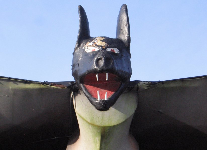 belfry bat closeup