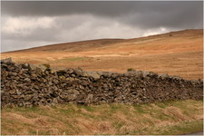 jana carga - bullpot farm -img_2267