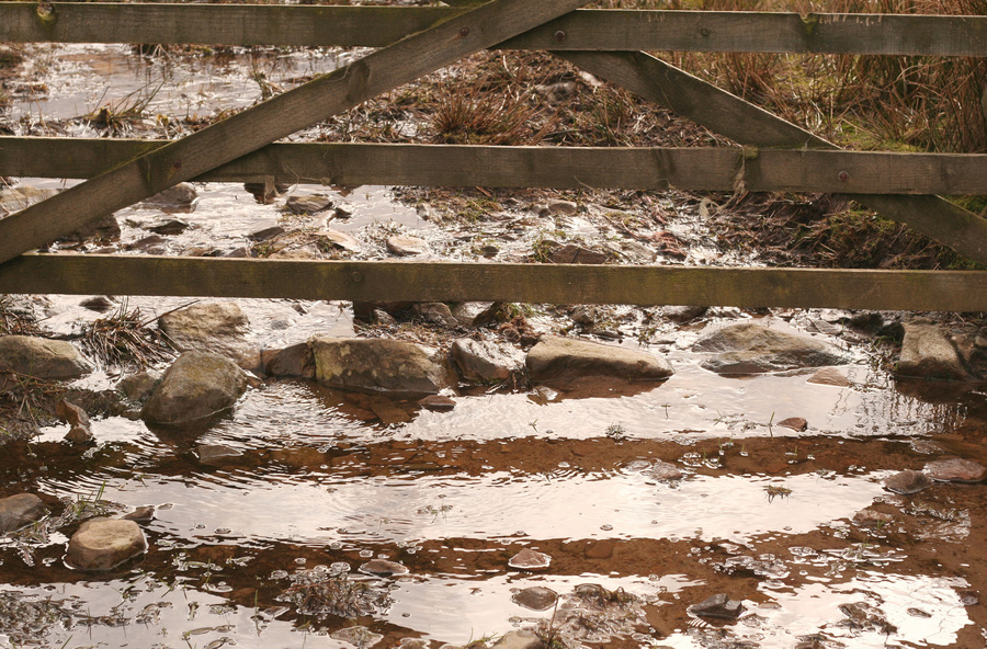 jana carga - bullpot farm -img_2271