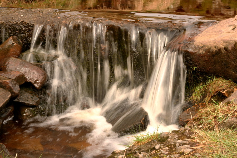 jana carga - bullpot farm -img_2274