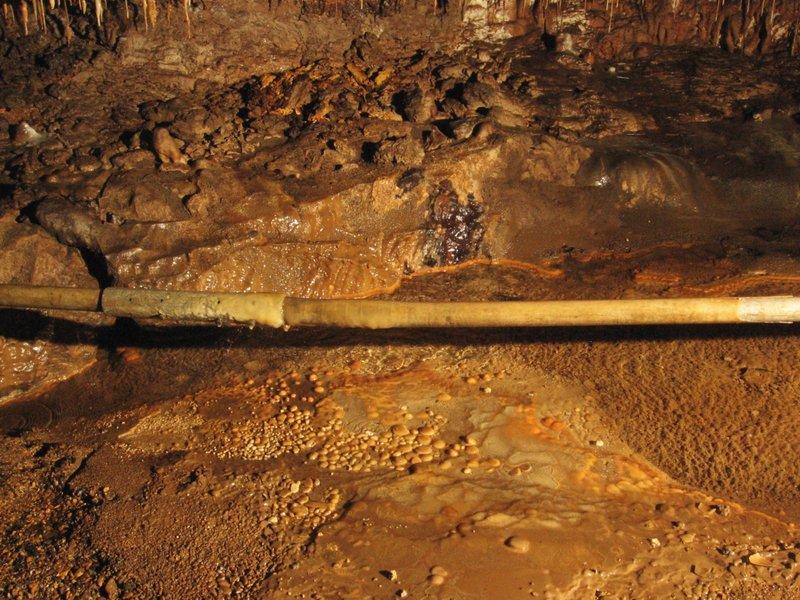 jarvist frost - canon a520 vivitar 283 -avalanche inlet gg - cave pearls diffuse light2