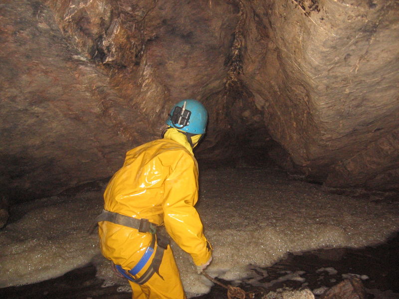 jarvist frost - jana eyeing up the sump