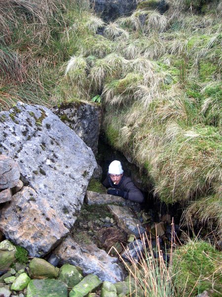 Jarvist Frost - IMG_0007 - Ludo exiting Grange Rigg after inspecting first pitch