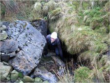 Jarvist Frost - IMG_0008 - Ludo exiting Grange Rigg after inspecting first pitch