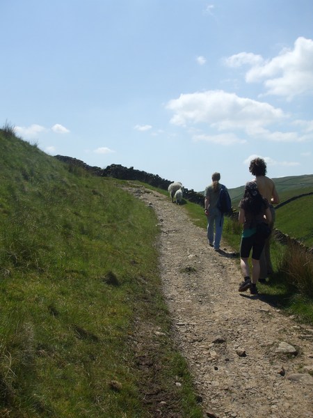 daniel greenwald - DSCF1026