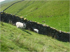 daniel greenwald - DSCF1028