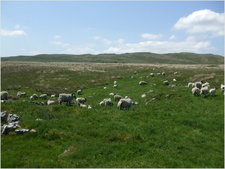 daniel greenwald - DSCF1031