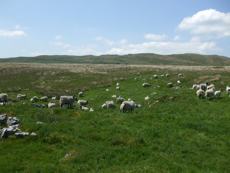 daniel greenwald - DSCF1031