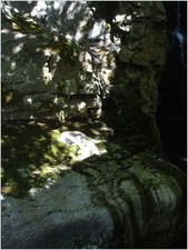 daniel greenwald - DSCF1042