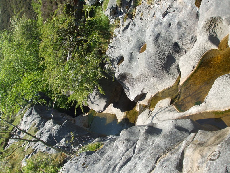 daniel greenwald - DSCF1049