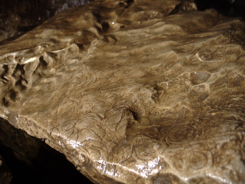 jarvist frost - canon g5 - king pot - emmas pitch - fossil rock in stream - closeup