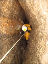 Jana Carga - Canon A520 - Bullpot Saturday - IMG_0071