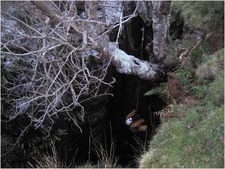 Jana Carga - Canon A520 - Jingling Sunday - IMG_0092