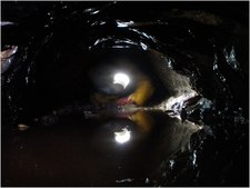 Simon Nouis - P2200050