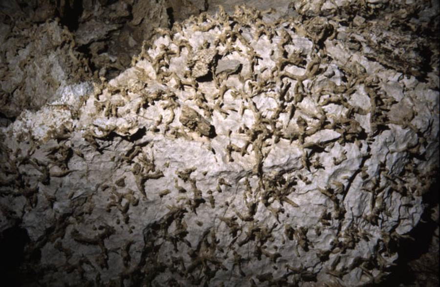 stalrock01 - Eroded rock near Titanic Pitch, Migovec System (D. Wilson)