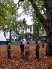 jarv - tree train straight climb