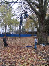 tree train - early november 1