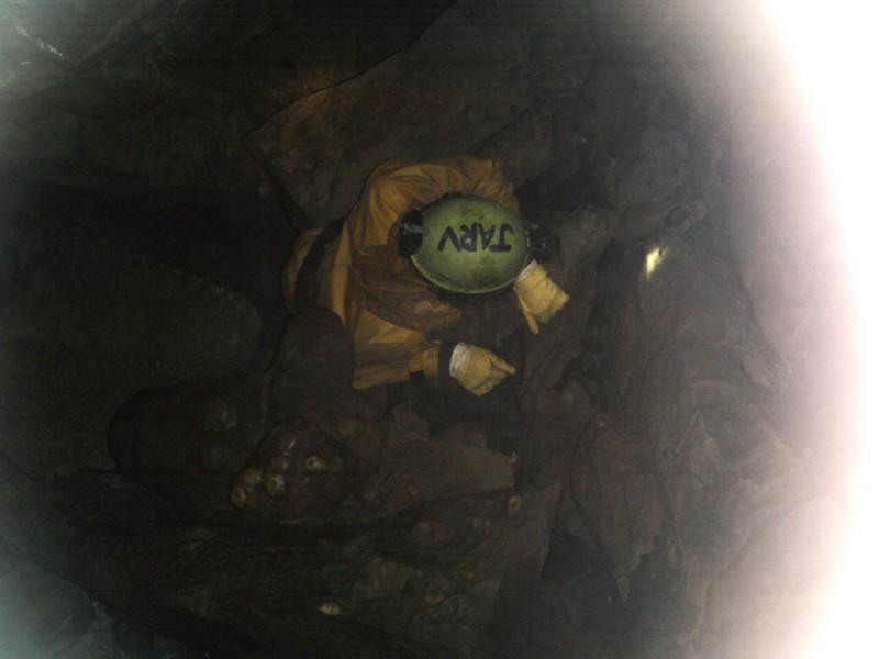 sm_yorks ny 04-12-28 014