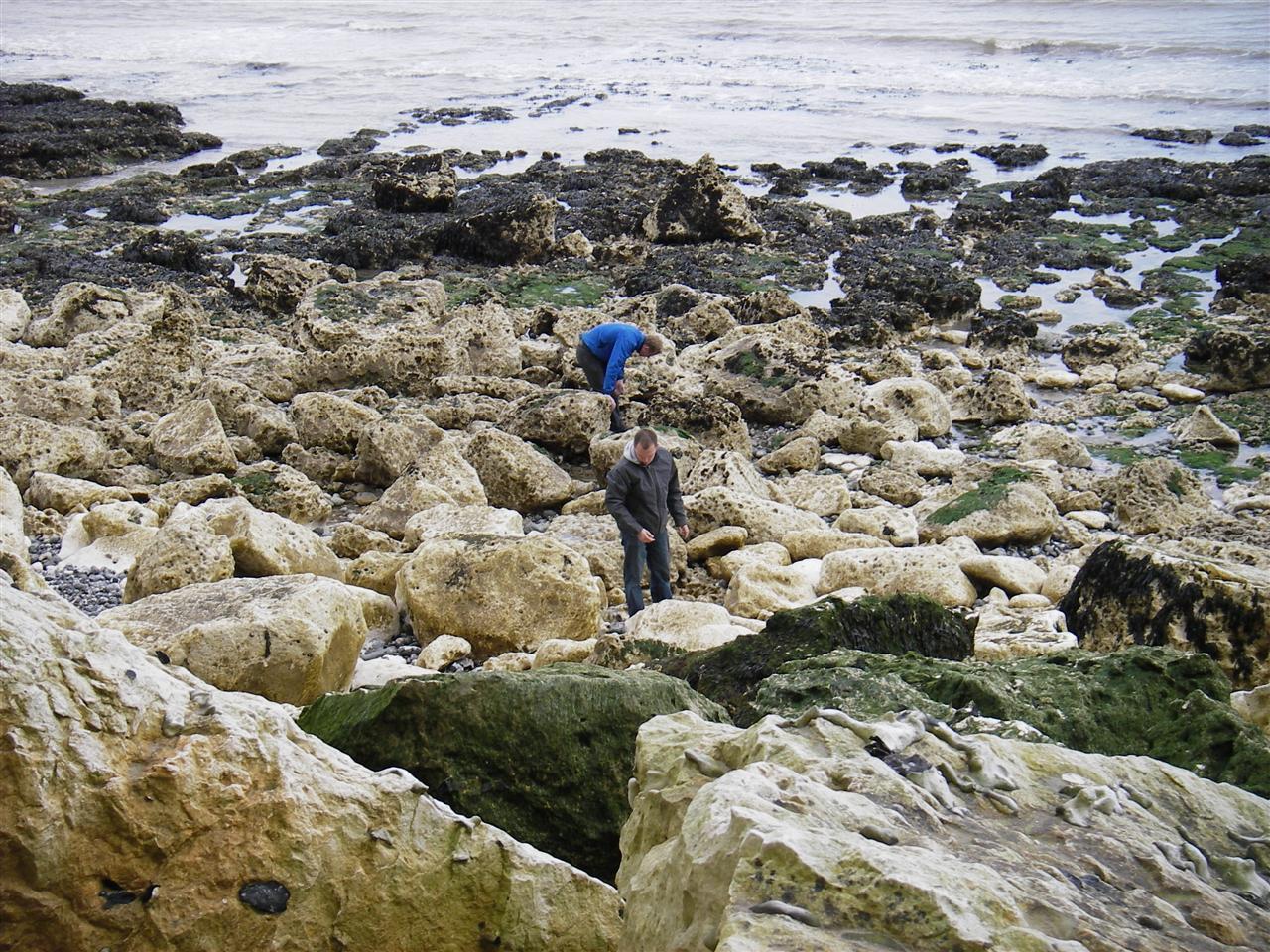 Jan + Lyndon fossil hunting