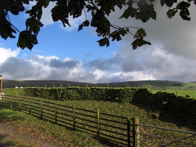 jana carga - greenclose - green wall green fence green hills