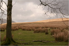 jana carga - bullpot farm -img_2268