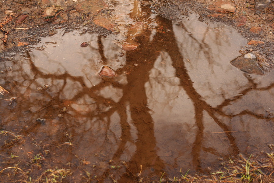 jana carga - bullpot farm -img_2270