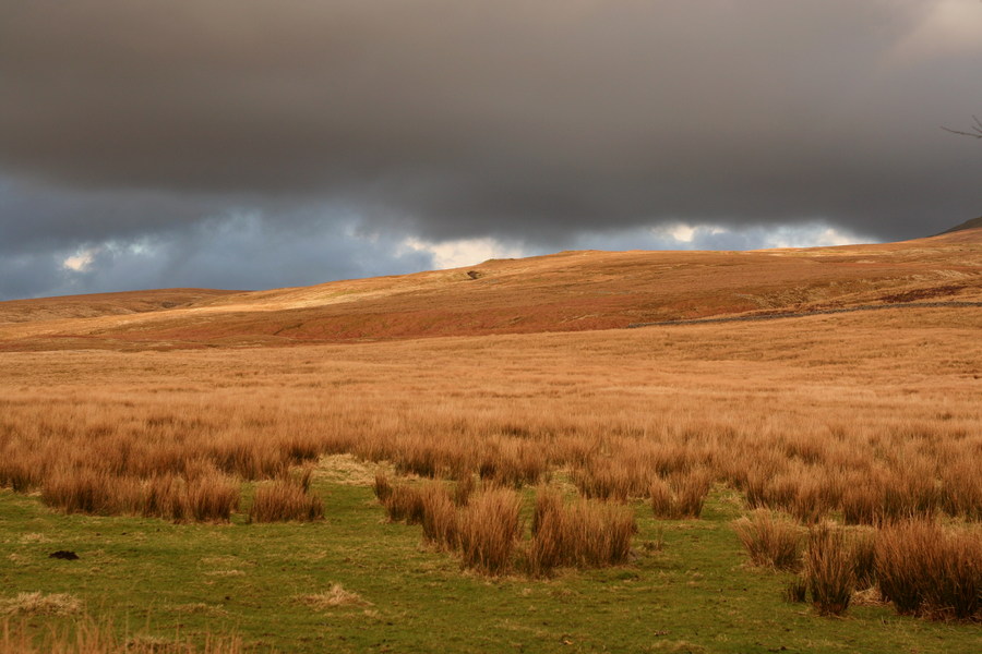 jana carga - bullpot farm -img_2280