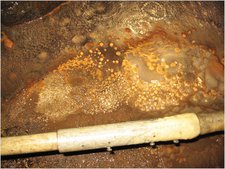 rainbow inlet cave pearls2