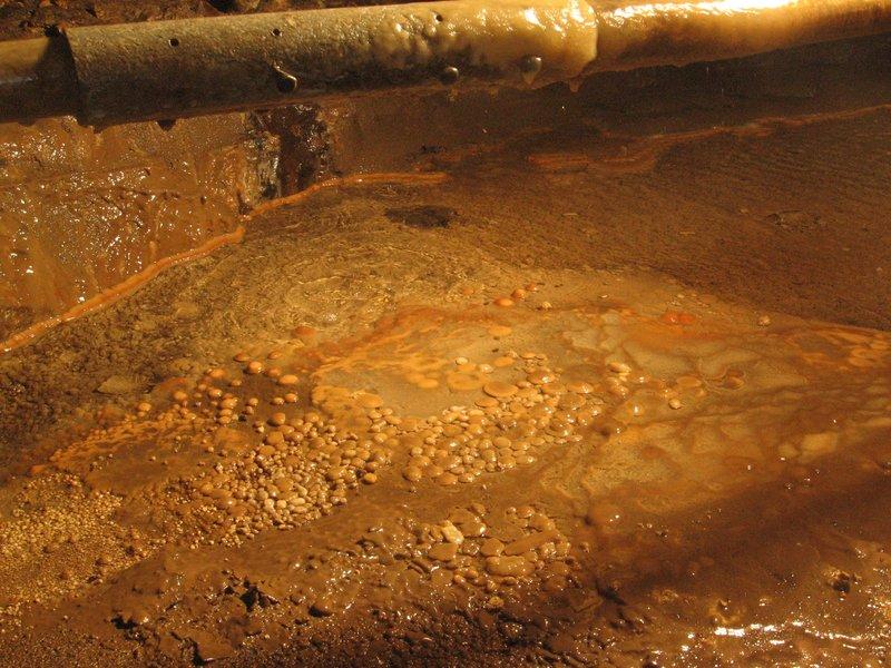 jarvist frost - canon a520 vivitar 283 -avalanche inlet gg - cave pearls diffuse light3