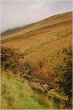 justin dane - nikon d40 - webres_DSC_2103