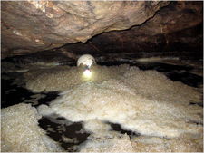 jarvist frost - jkp emerging from sump