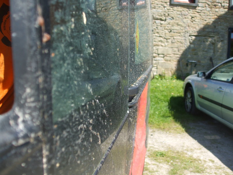 daniel greenwald - DSCF1010