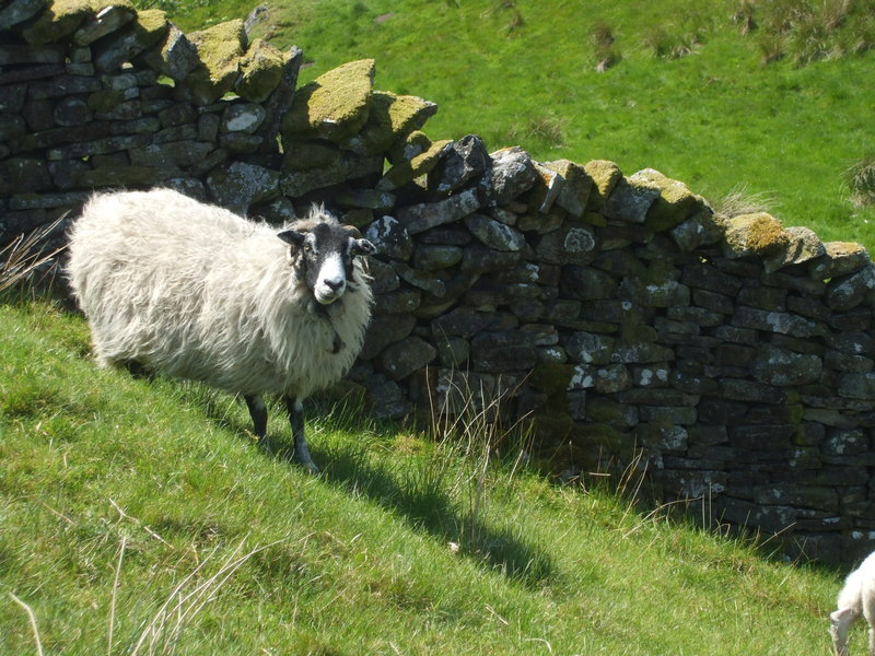 daniel greenwald - DSCF1027