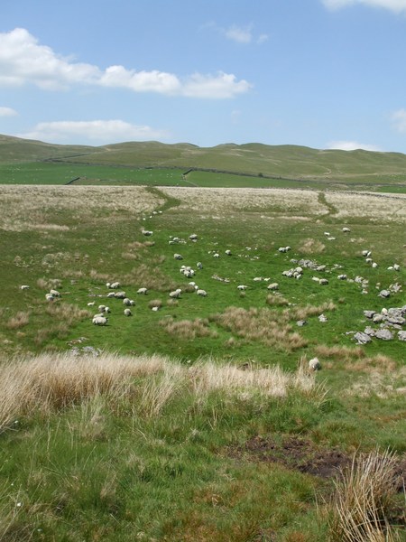 daniel greenwald - DSCF1032