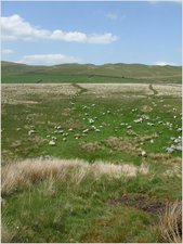 daniel greenwald - DSCF1033