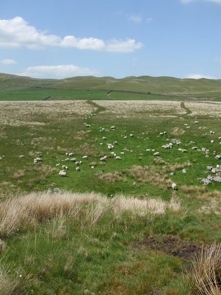 daniel greenwald - DSCF1033