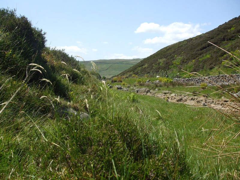 daniel greenwald - DSCF1034