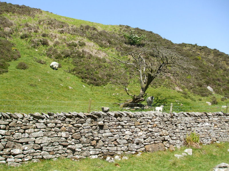 daniel greenwald - DSCF1035