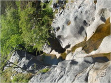 daniel greenwald - DSCF1049