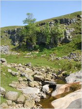 daniel greenwald - DSCF1050